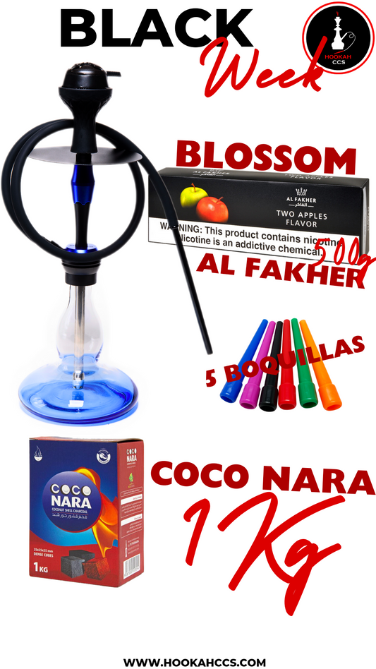 BLACK WEEK BLOSSOM